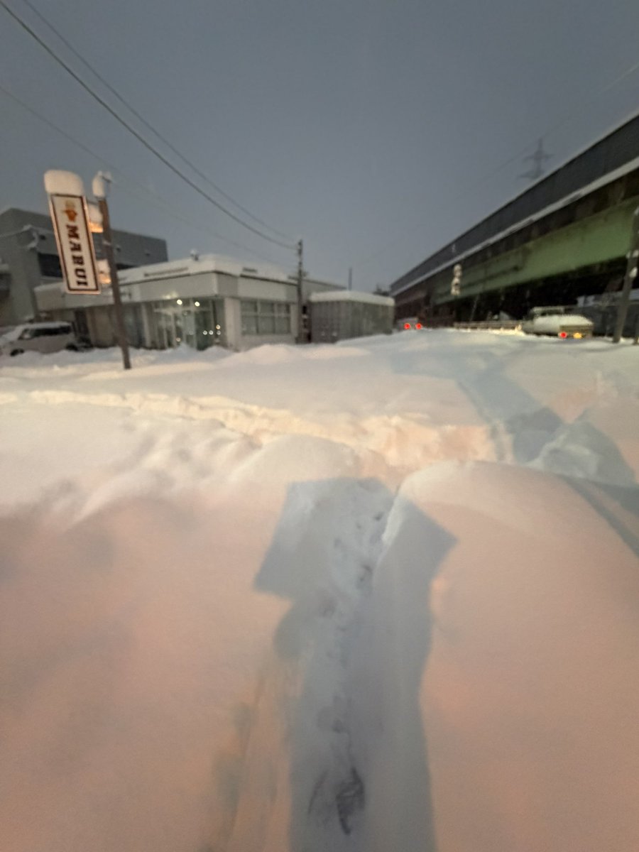 O2KAy91's tweet image. めっちゃ雪積もってるけど明日も定時に間に合うように出勤を言い渡される
毎年冬になると仕事辞めたくなる