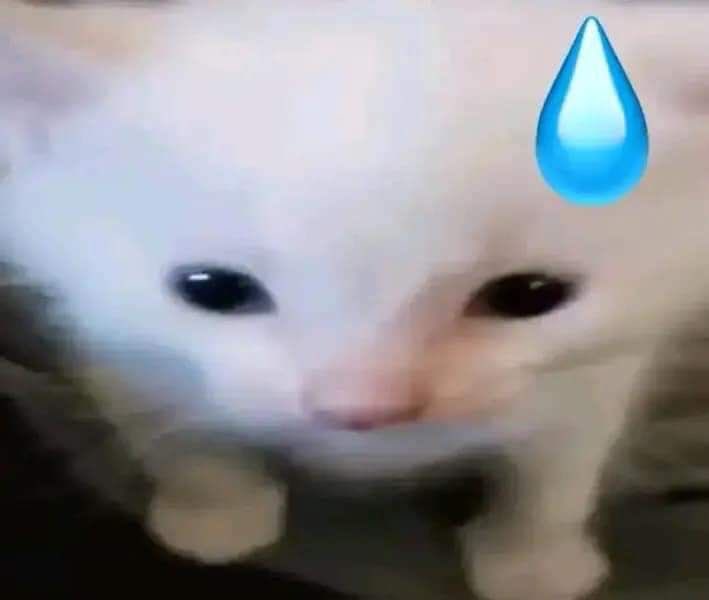 🛸 (@chxxnyu) on Twitter photo 