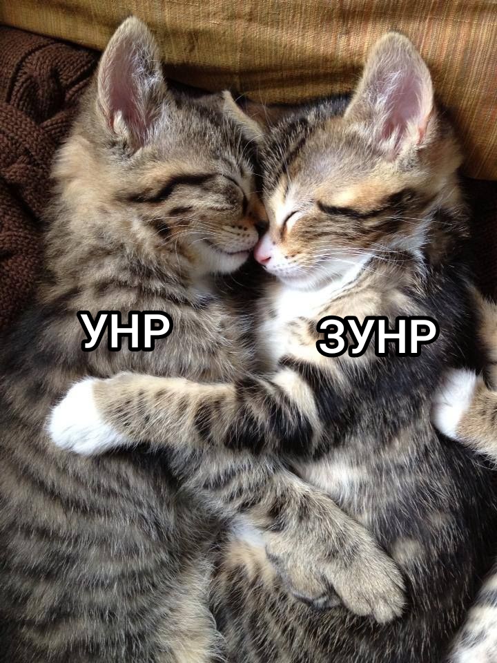 SumyBydlo's tweet image. З Днем Соборності України