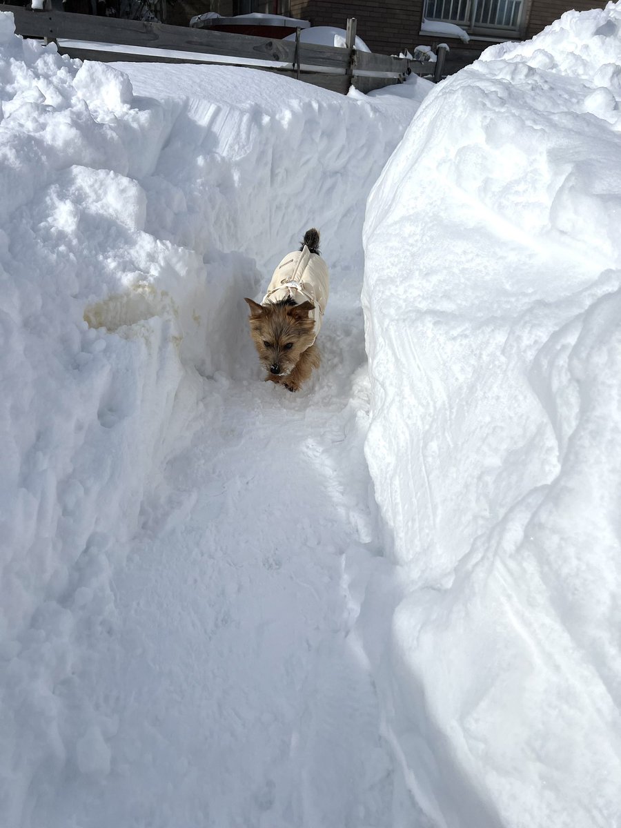 確定申告の書類整理ほぼ完了✨
あとは入力して開始と同時に提出。
いつも3月の締め切りギリギリだったのに最速記録ですな✨