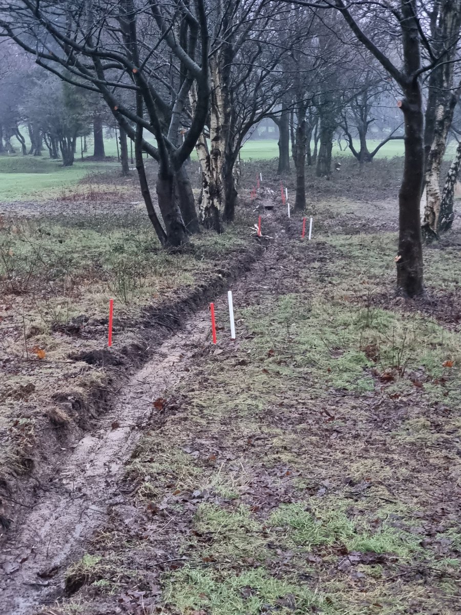 Lees Hall Golf Club tweet media