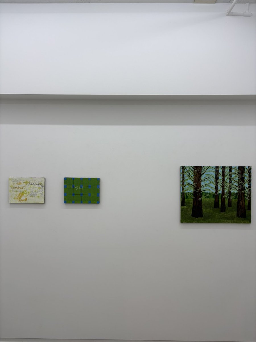 RED AND BLUE GALLERY
キンマキ natural garden
2025.12.20 - 2026.1.24
「背景」と「文字」を分けて描いてみたいと思うようになりました...それらを隣り合わせに展示したらどう見えるのか。それを確かめたいと思いました。
redandblue.jp/exhibi/3658.ht…