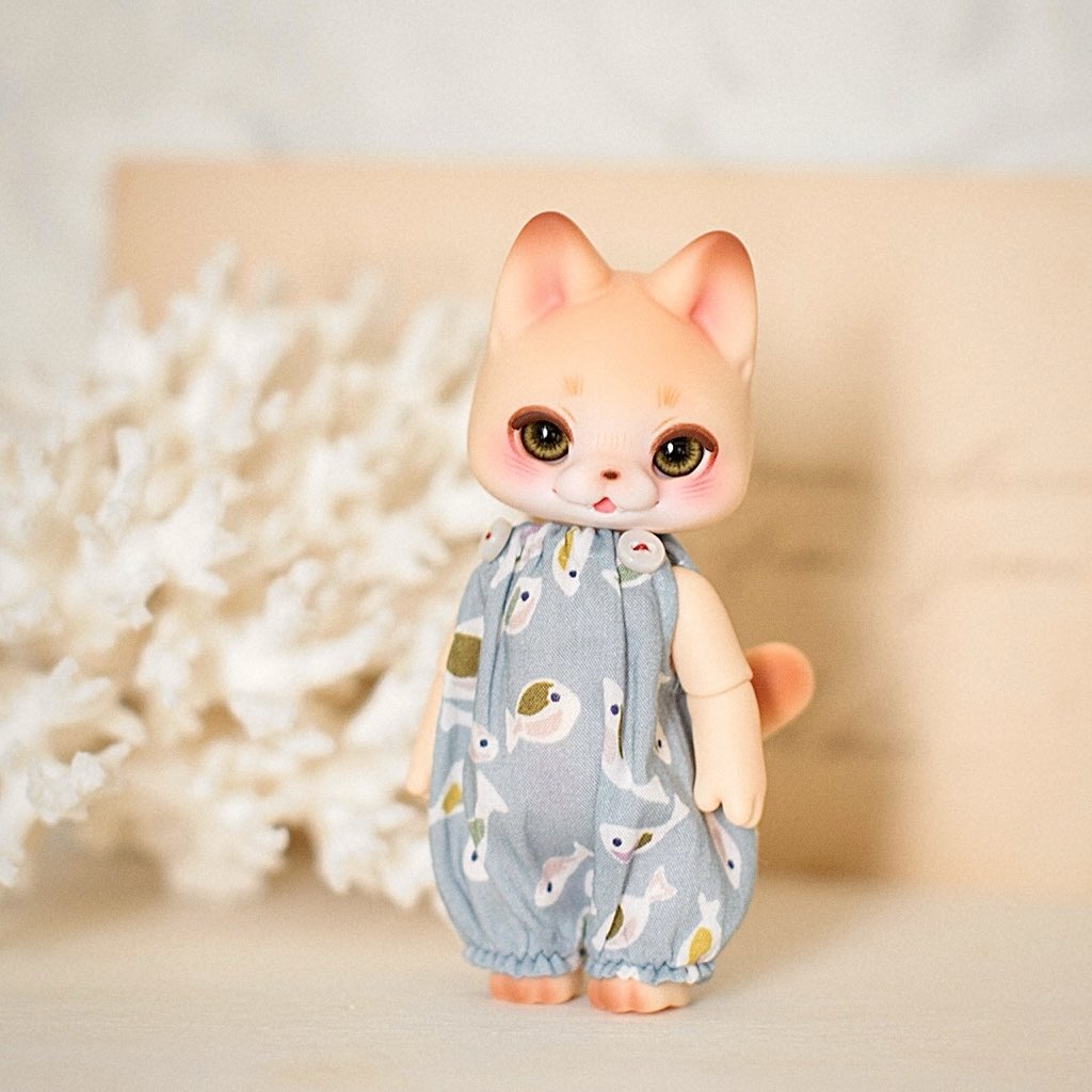 🐟ロンパースの通販を今月末頃行えるように準備中です🛒
新しいレンズが上手く扱えず、四苦八苦しています…（こちらの写真は加工しています）
それにしてもmioちゃんは可愛い🐱🫶🏻