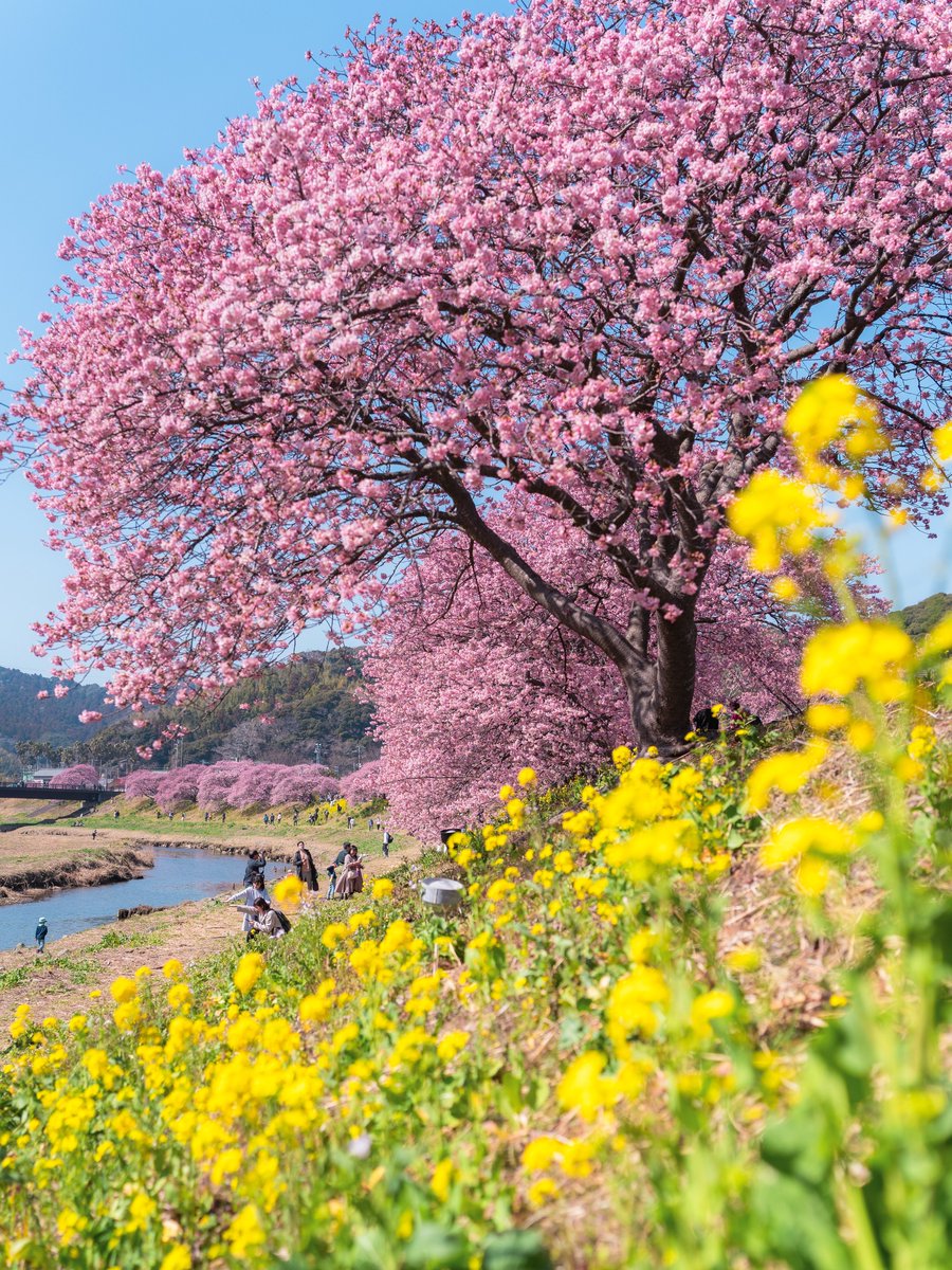あのこ☺︎︎🍪 (@bakerymugimugi) / Posts / X