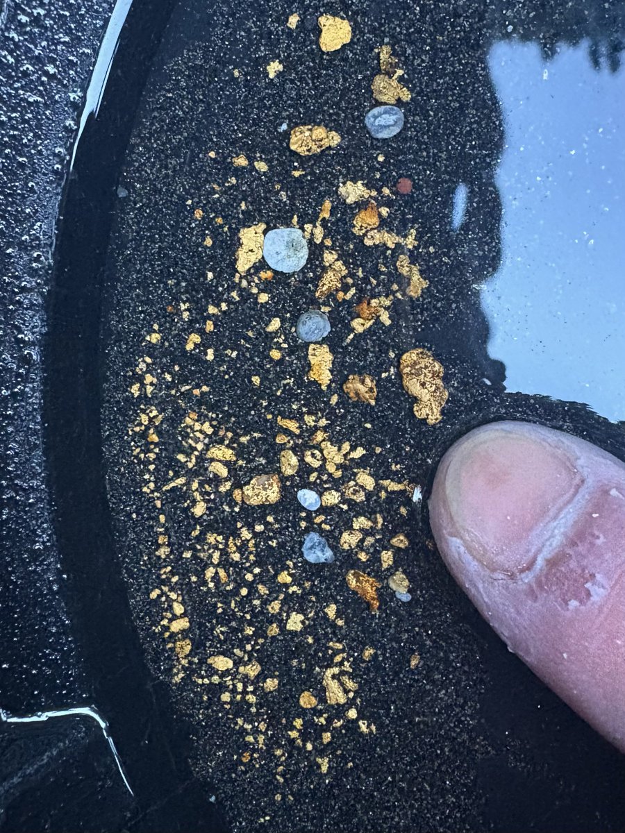 趣味の砂金採り (@Ore_smelting) / Posts / X