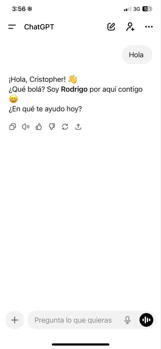 TodoLindo tweet media