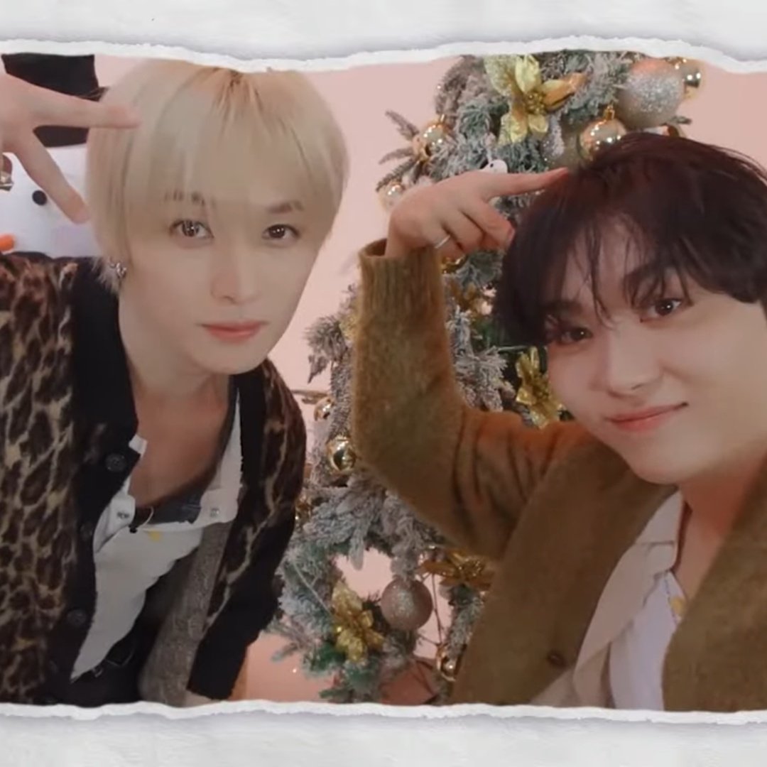 oh how i love being a staycarat