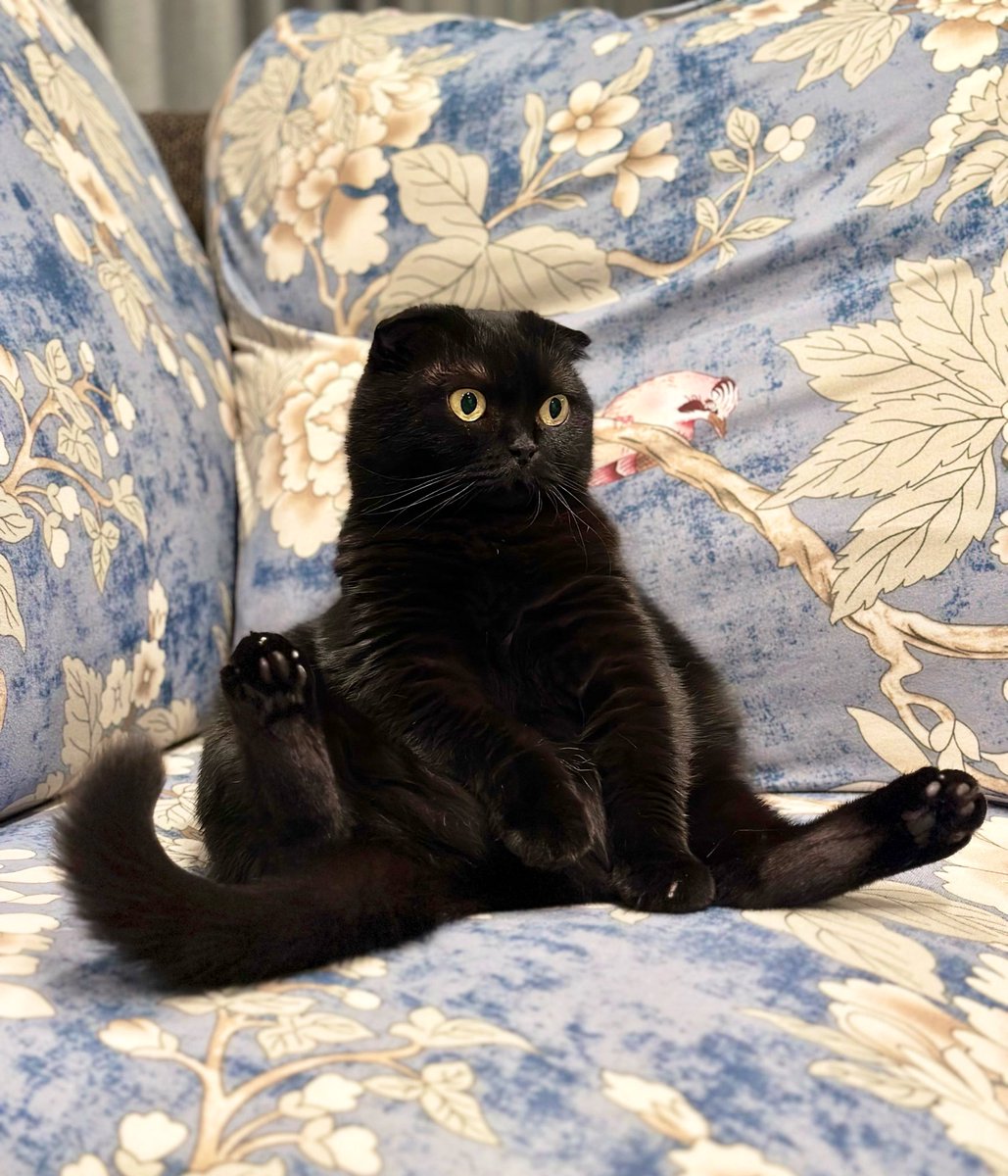 ひとまず座るわね 🧸