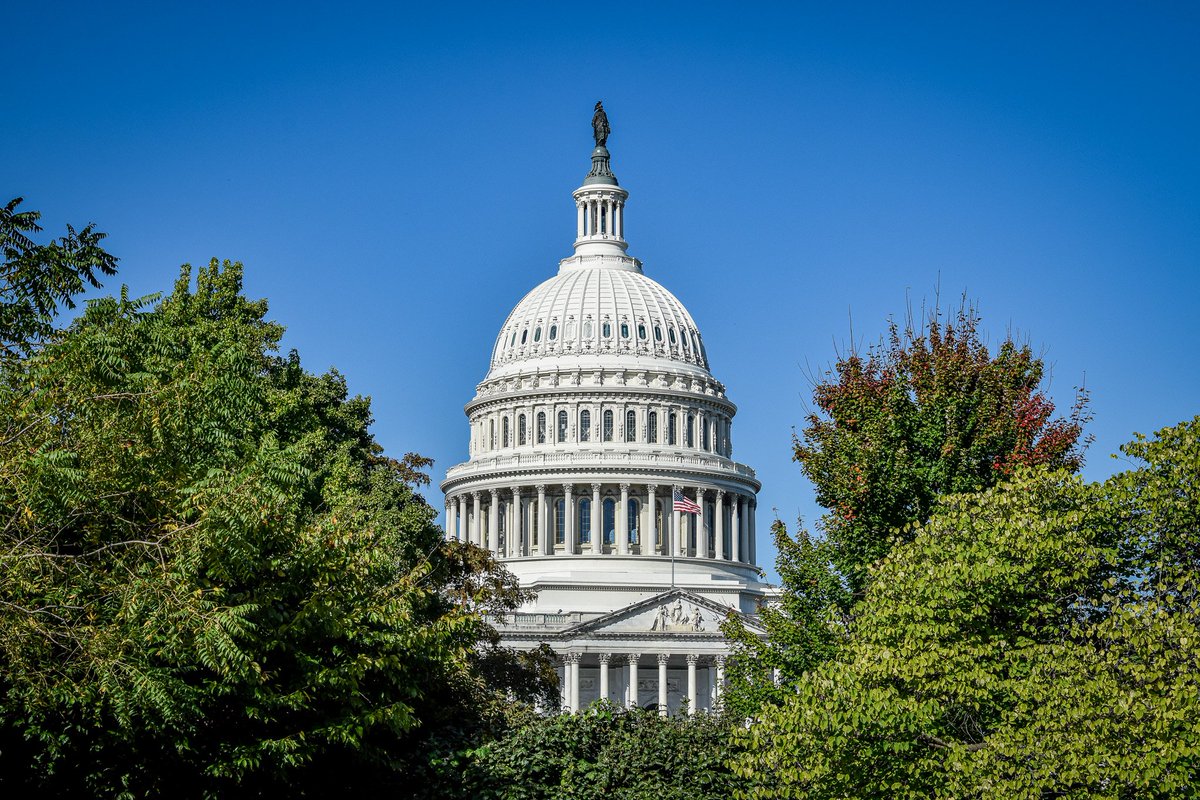 Wally44's tweet image. Der Blick von der Library of Congress auf das US #Capitol. 

#Washington #USA #Only1DC #DC250