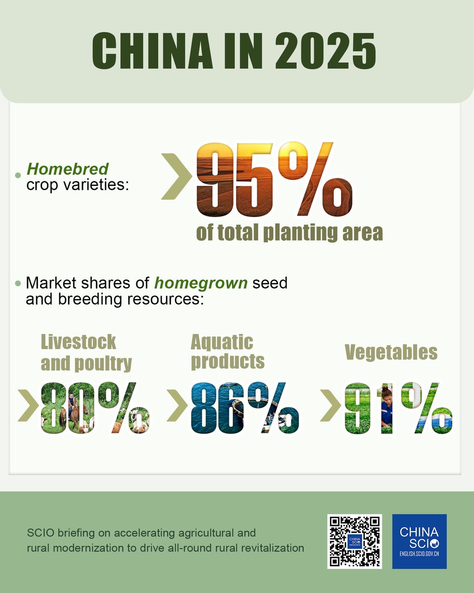 chinascio's tweet image. China steadily advanced the initiative to invigorate the #seed industry in 2025. Homebred #crop varieties cover more than 95% of the total planting area.

Market shares of homegrown seed and breeding resources:

livestock and poultry &amp;gt; 80%
aquatic products &amp;gt;86%
vegetables &amp;gt; 91%