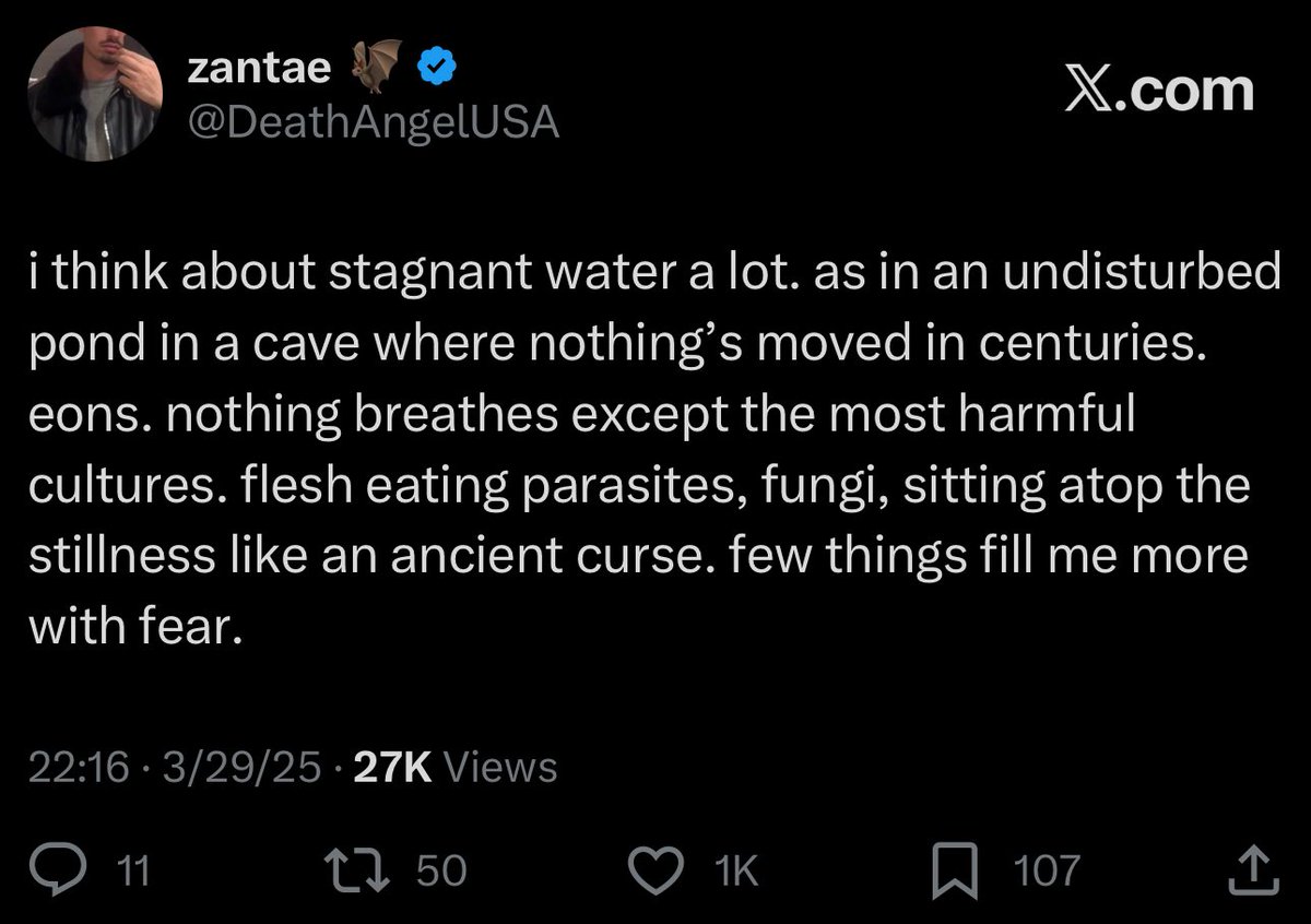 zantae 🦇 tweet media