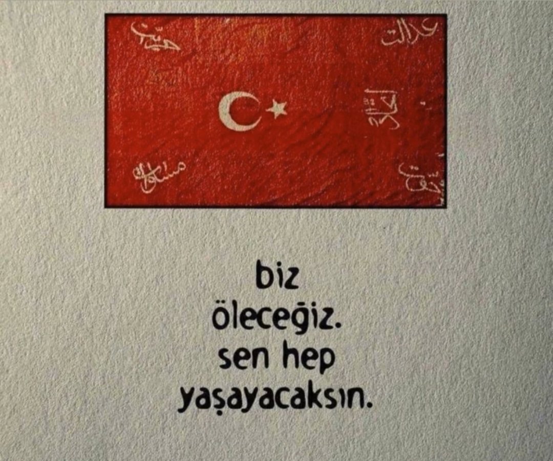 Halil🇹🇷 bizi anlayan sever tweet media