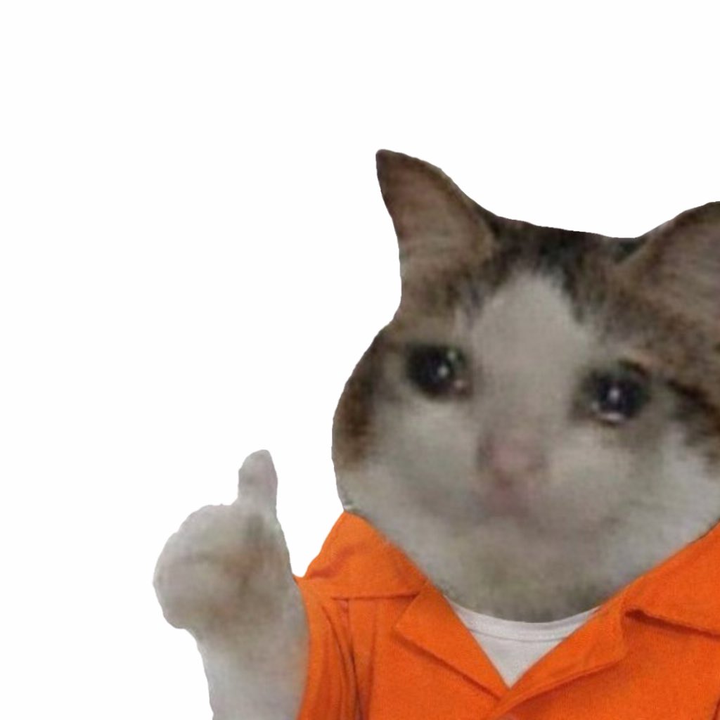FqrisC's tweet photo. @Jaileddotfun @0xFrisk @okcatmeme https://t.co/uO9bVrBLsV
