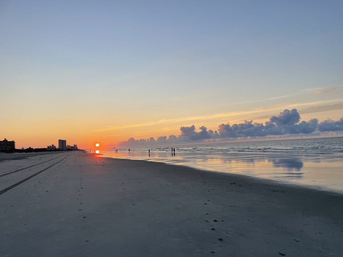 Johnny Hickey🐊 🇺🇸 tweet media