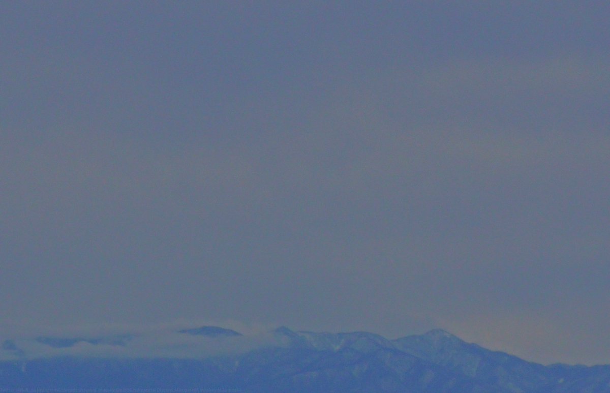 null_86's tweet image. 遡って一番最初に撮った写真はこれらしいっす