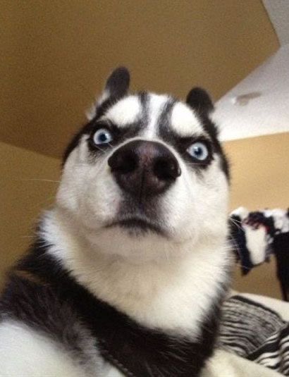 แคสเริ่ดมาก เหมือนยันสี