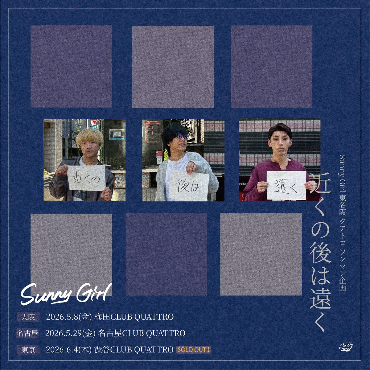 Sunny Girl 廃盤含む5枚セット Sunny Girl 廃盤含む6枚セット Sunny Girl 廃盤含む CDセット Sunny