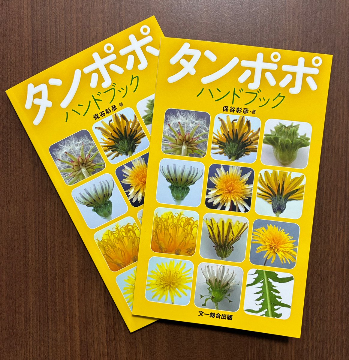 タンポポハンドブック』（文一総合出版）が重版（3刷）となりました