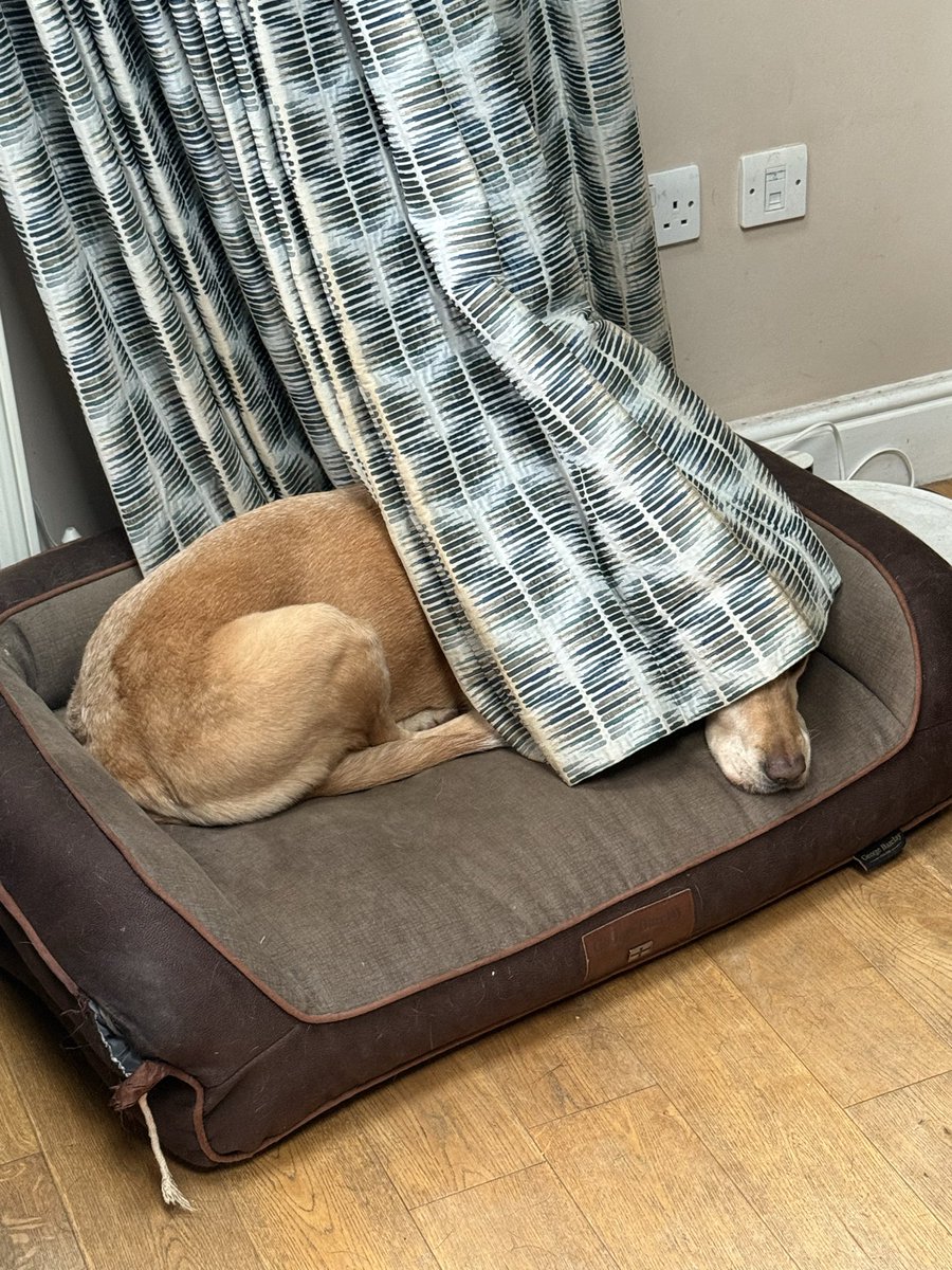 Dinan Gunawardena tweet media