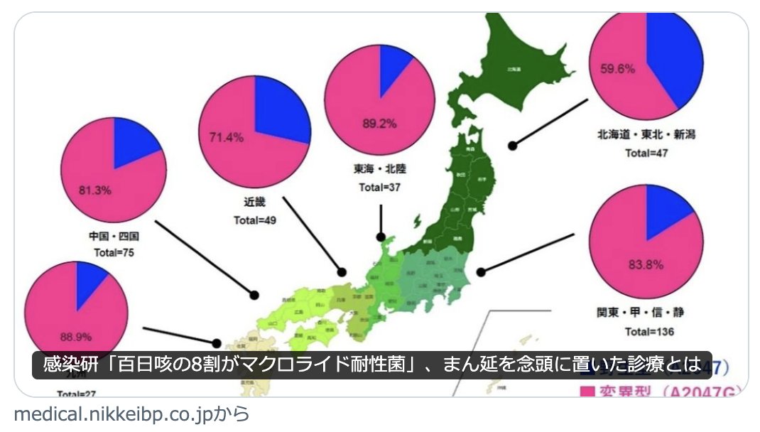 2025年に流行った百日咳の約80%がマクロライド耐性という結果に・・・

通常の治療が効くかどうかは治療だけでなくて、周囲への感染拡大を防げるかどうかにも関わります

去年は約9万件の百日咳が報告されましたが、やはり耐性菌が多いことが感染拡大にも大きく関与していそうですね