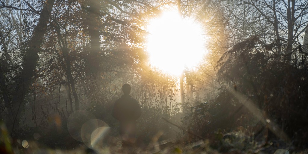 Forestry Commission tweet media