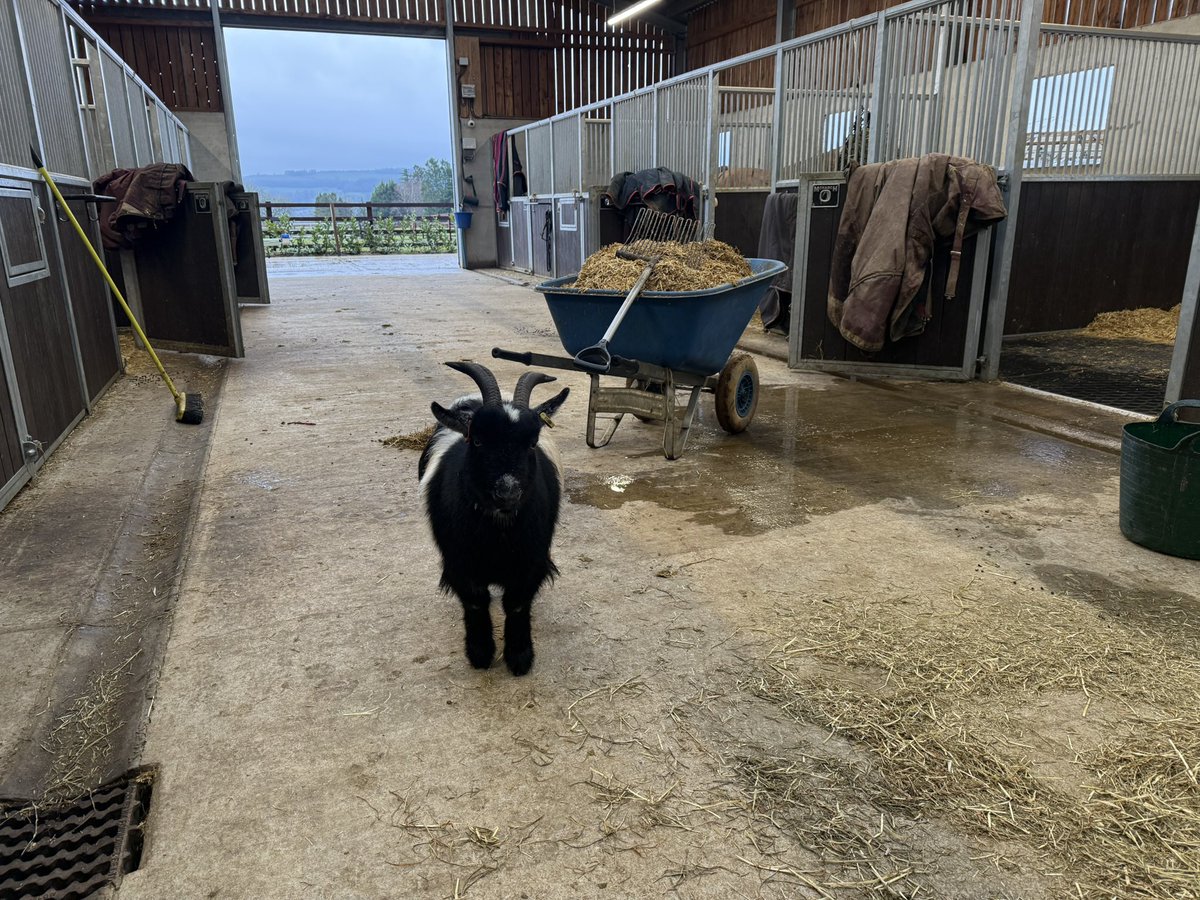 Luke harvey tweet media