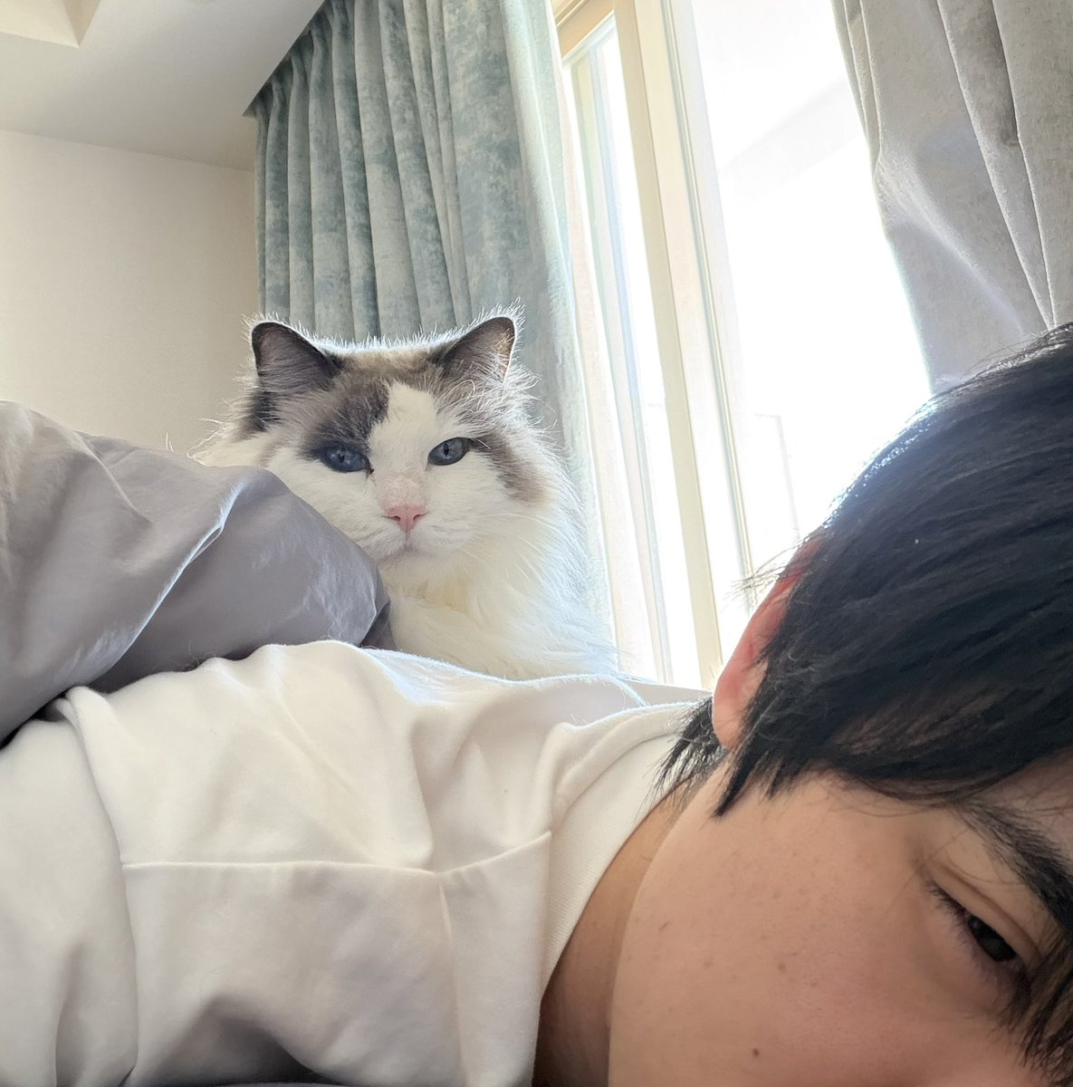 なみのりいくぞう✨ みのりについて何を変えたの？ : r/ProjectSekai