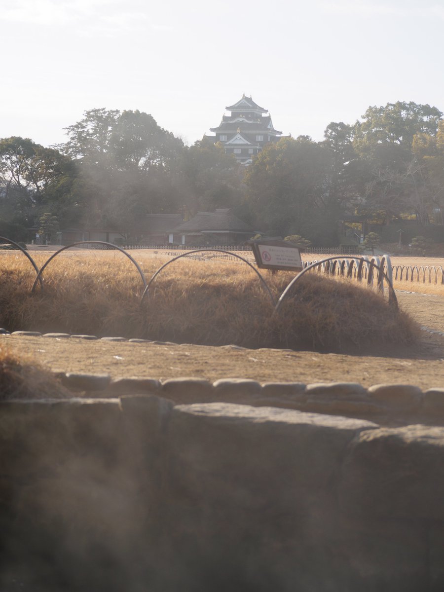 ひろりん♪ (@hirorin4649) / Posts / X