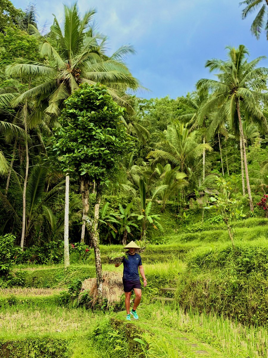 Adio crypto :)) 

M am apucat de plantații de orez 🍚