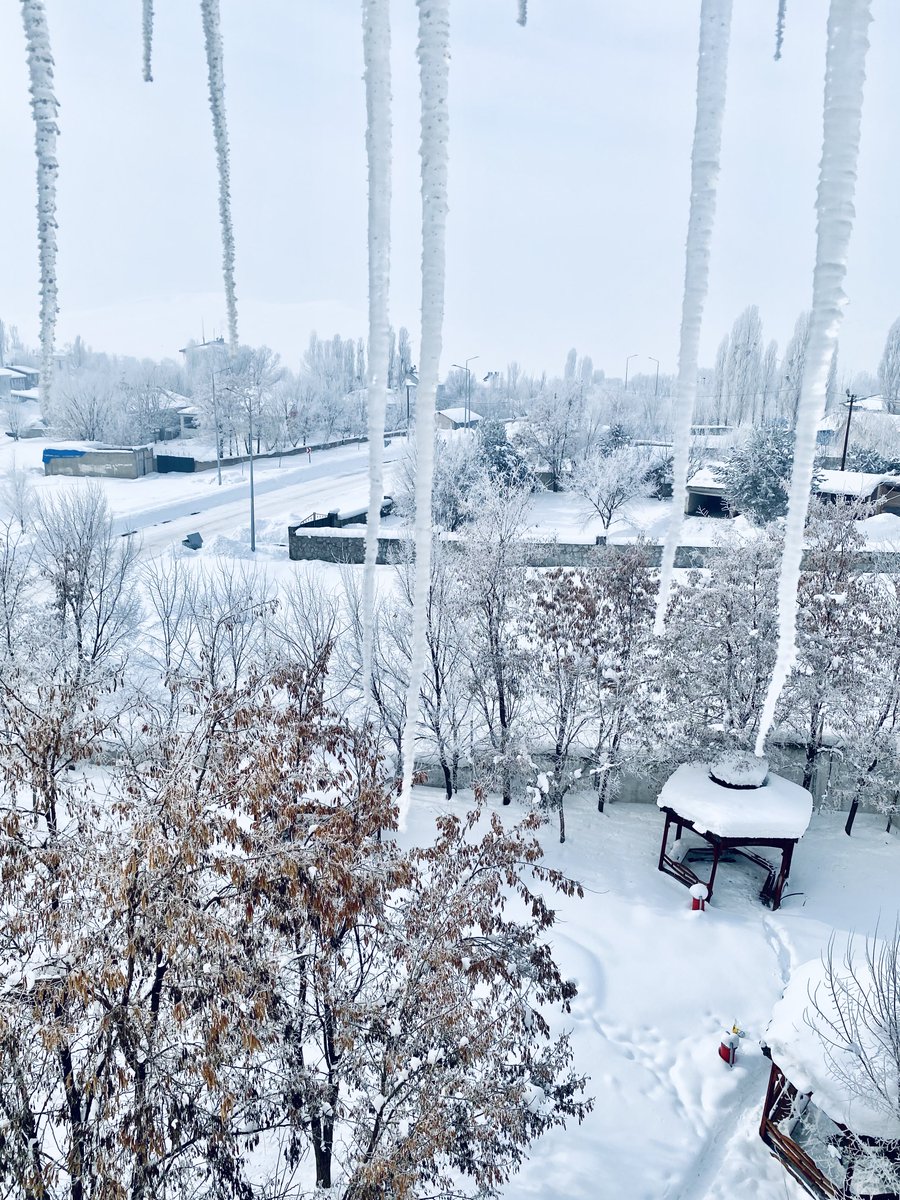 -24 ❄️
Hamur📍
22.01.2026