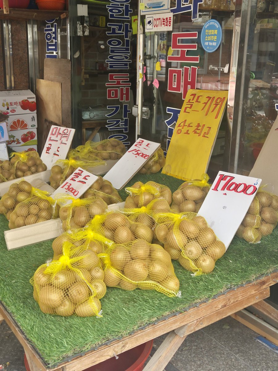 며칠 전 삼천포 갔는데 웬 감자를 망사리에 넣고 팔지 했는데 저게 다 키위였고 사천 특산물이 키위라서 엄청 싸게 팔더라. 골드키위 13000원 짜리 샀는데 35개 들어 있고 후숙 너무 잘되서 멜론 같이 달콤함.... 다른 데서 키위 못 사먹을 듯