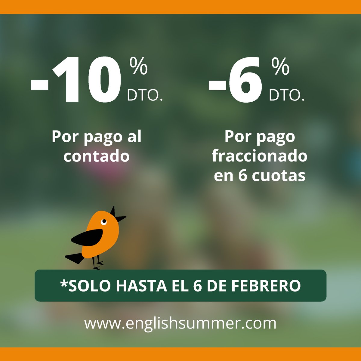 English Summer S.A. tweet media