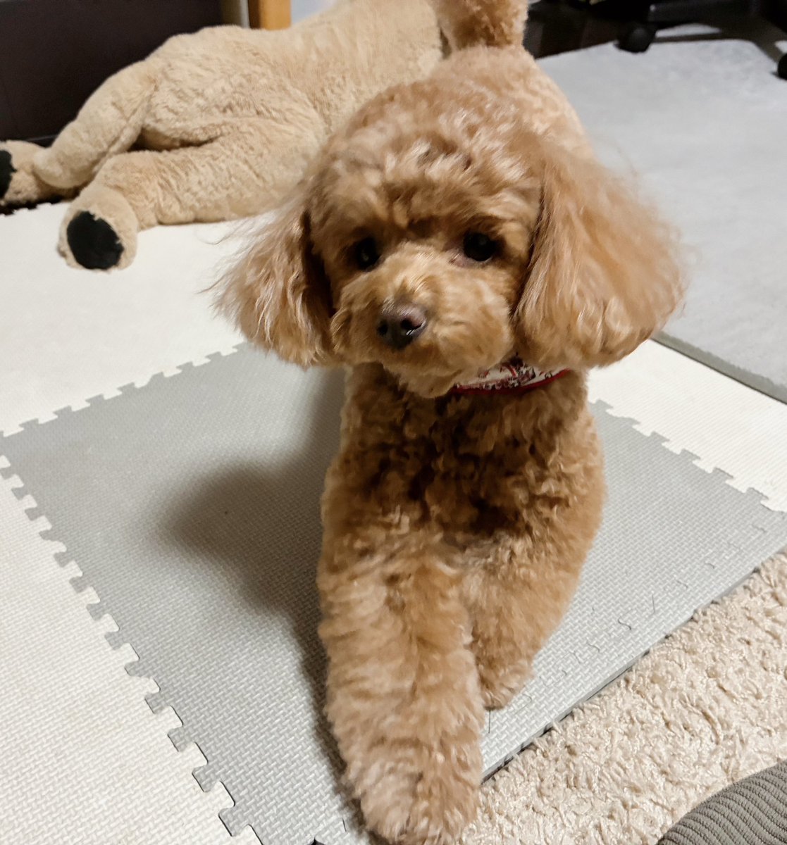 ノンノン tweet media