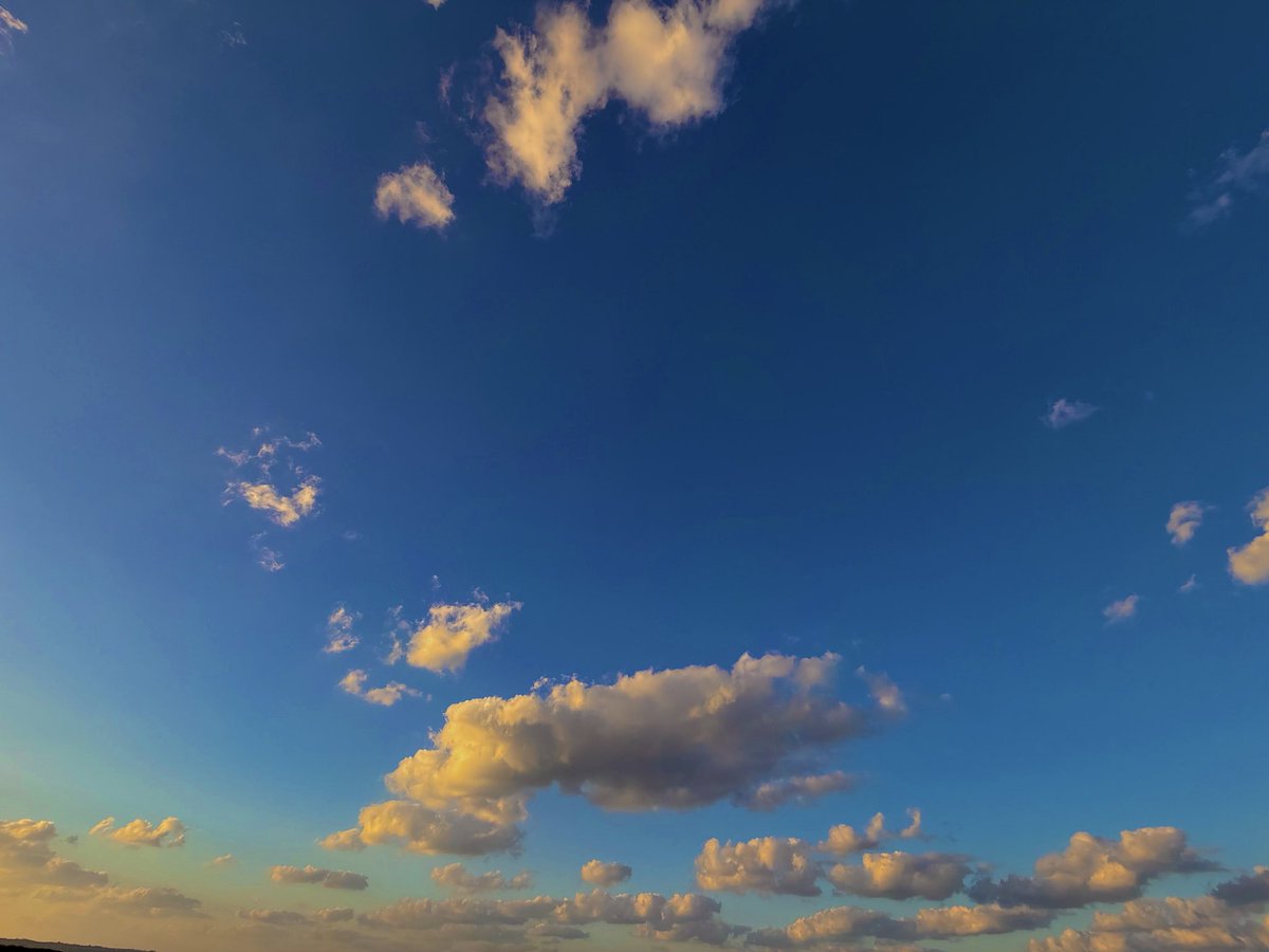 宮川大聖 / みやかわくん tweet media