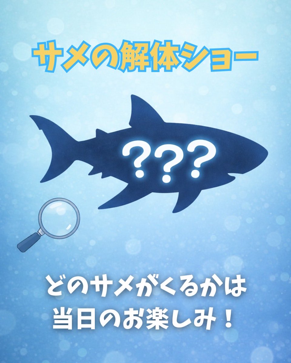 サメの解体ショー🦈🔍

実際のサメを使って、大きさ・形・つくりを目で見て感じる解体ショーです。

図鑑や映像ではわからない、実物ならではの迫力や発見があるかもしれません。

どんなサメに出会えるかは当日のお楽しみ！
この機会にぜひお越しください✨
