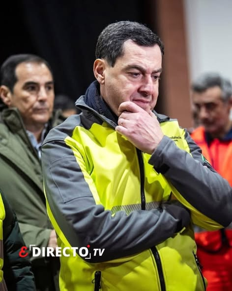 Domínguez Arjona 🇪🇸 tweet media