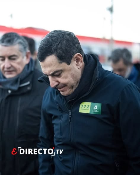 Domínguez Arjona 🇪🇸 tweet media