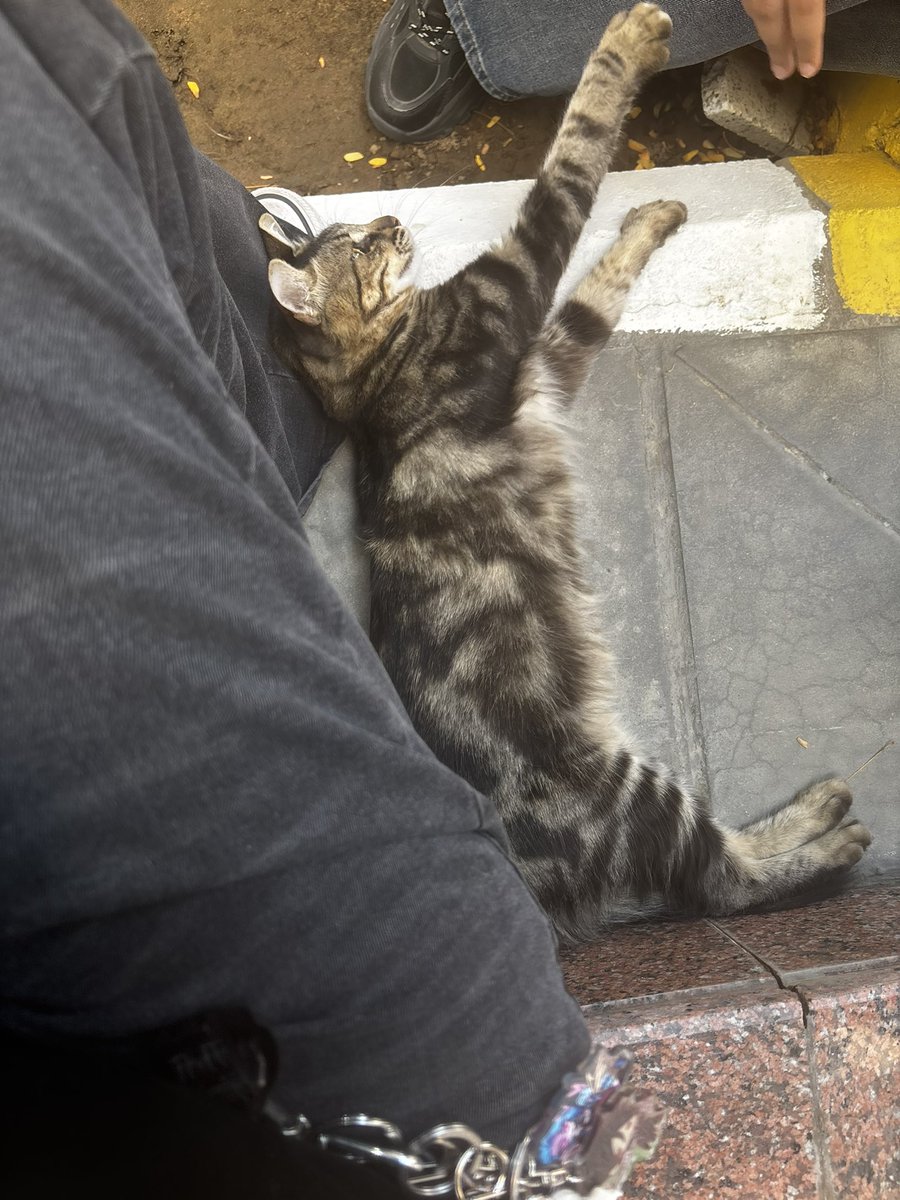 ashelllye's tweet image. 