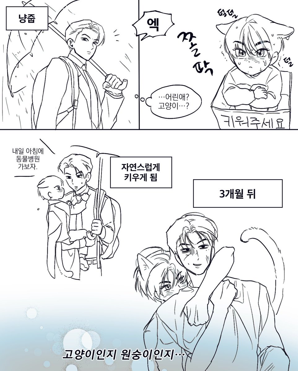 iminnocence_jay's tweet image. 기묘한 고양이 냥졍언
양젱