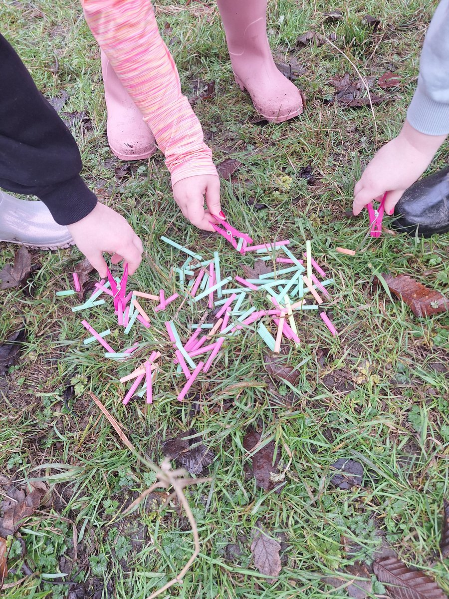 Mrs. Duff - Forest School. tweet media