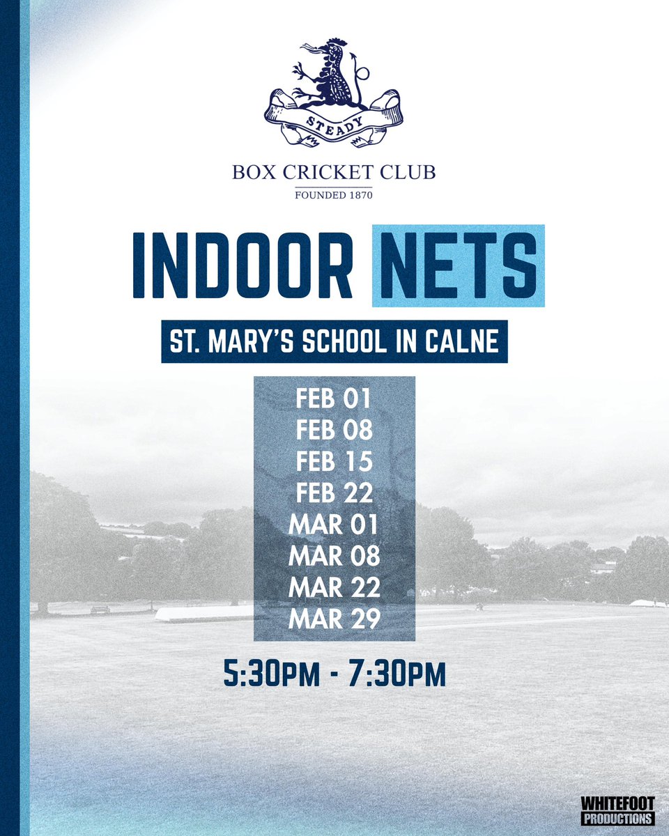 Box Cricket Club tweet media