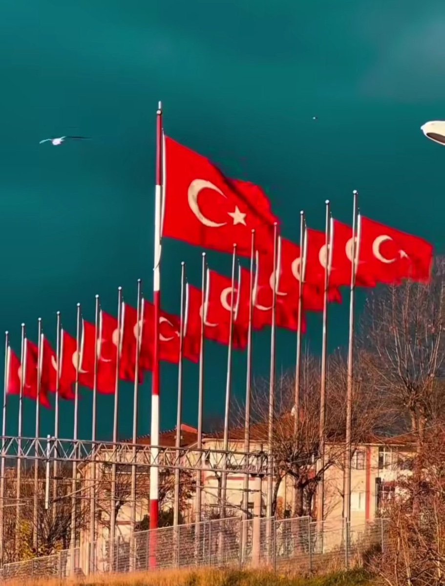 NUSAYBİN-KAMIŞLI SINIR HATTINDA BAYRAĞIMIZA YÖNELİK ALÇAKÇA SALDIRI…
Baş destekçileri ABD tarafından terk edilen bölücü terör örgütü PKK’nın uzantısı YPG/SDG’nin uğradığı hezimet sonrasında, Kandil’deki kuklalar marifetiyle Suriye’deki çatışma ikliminin Türkiye topraklarına