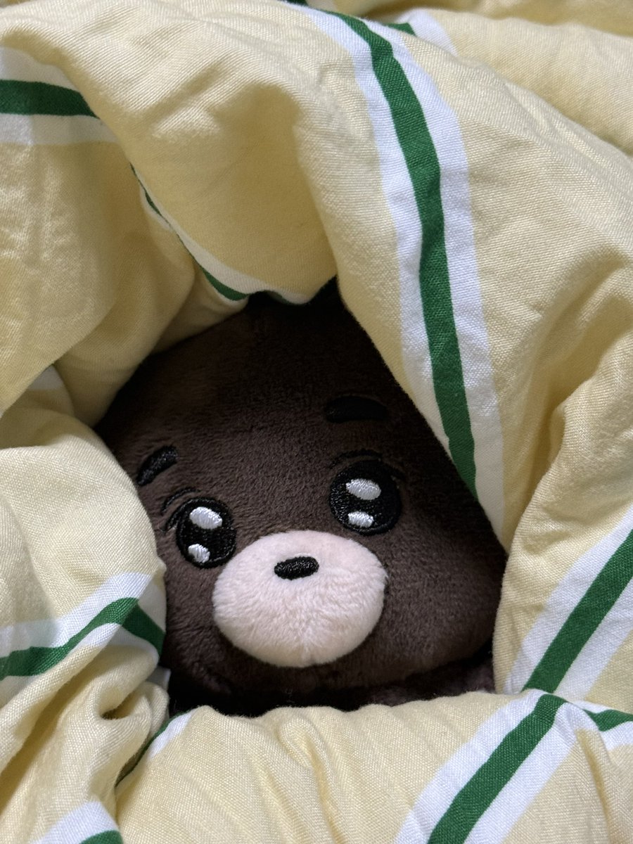 포링૮ • ﻌ - ა tweet media