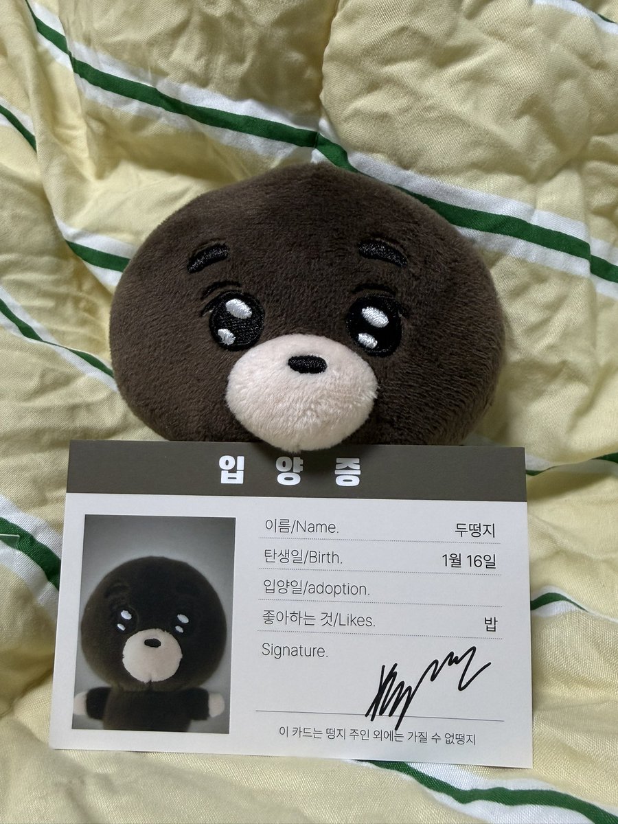 포링૮ • ﻌ - ა tweet media