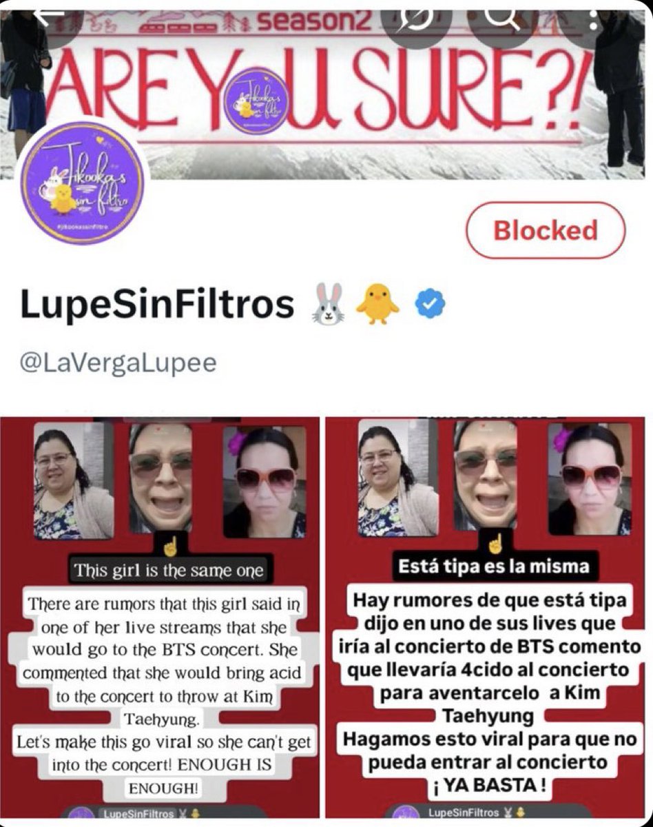 boracitybrc's tweet image. ⚠️ Report this shipper who already ‘reported’ 🐻 to HYBE MX CEO claiming he fueled hate against 🐥in the past, she’s now threatening to throw ACID at 🐻 at the MX concert.

Link to the portal, report NOW:
protect.hybecorp.com🚨

Link to their X account:
x.com/LaVergaLupee