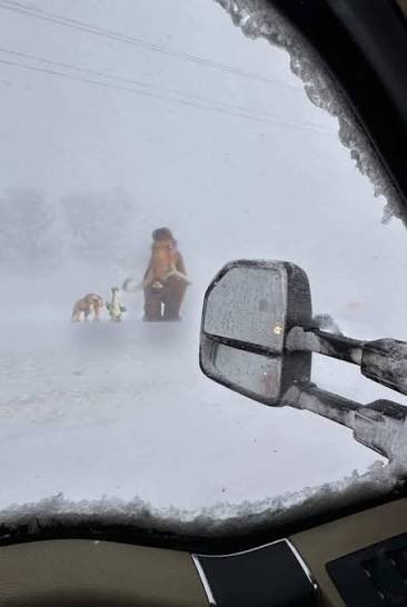 헤이티 신메뉴 1+1 이벤트 보고 나왔는데 밖에 빙하기 돌아온 줄 알았음
근데 고소한 롱징 밀크티랑 짭짤한 폼 거기에다가 마시멜로 같은 모찌 먹으면 빙하기여도 나오죠