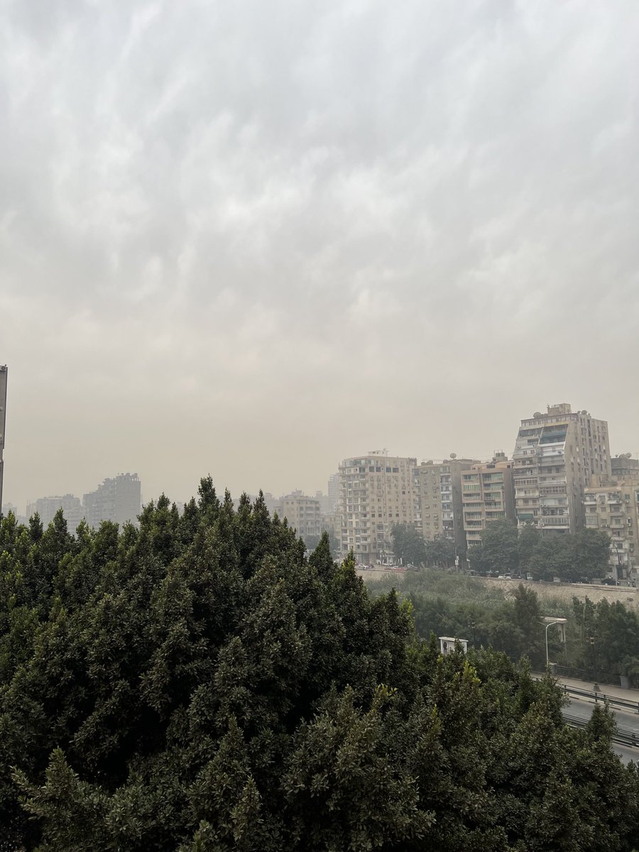 بفتح البلكونه لقيت الجو مغيم وضبابي بس دافى 📸😍