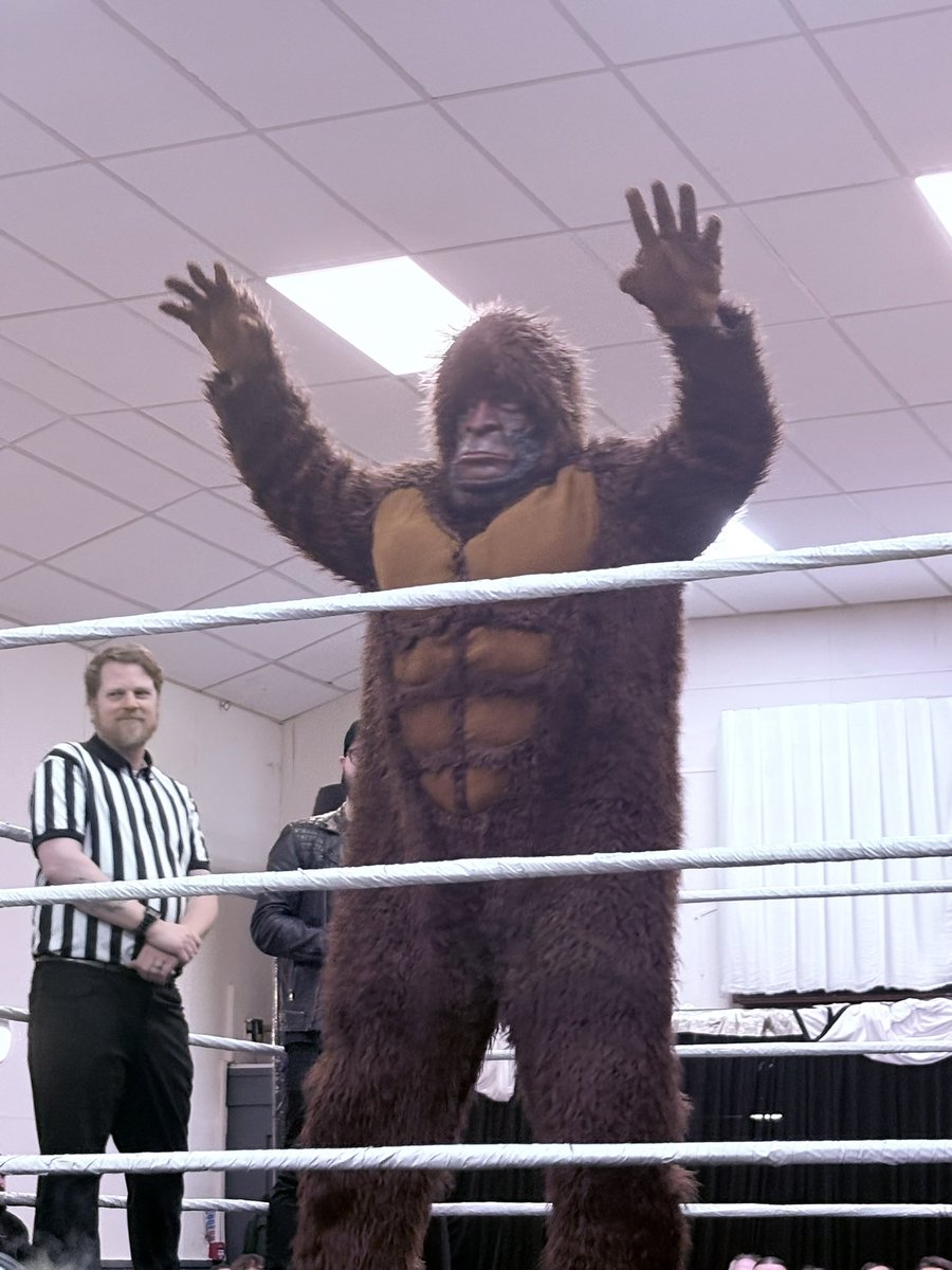 Marcus 🦭 tweet media