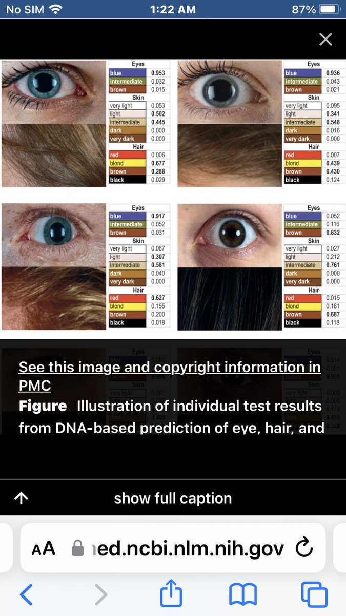 Grumpy Doctor tweet media