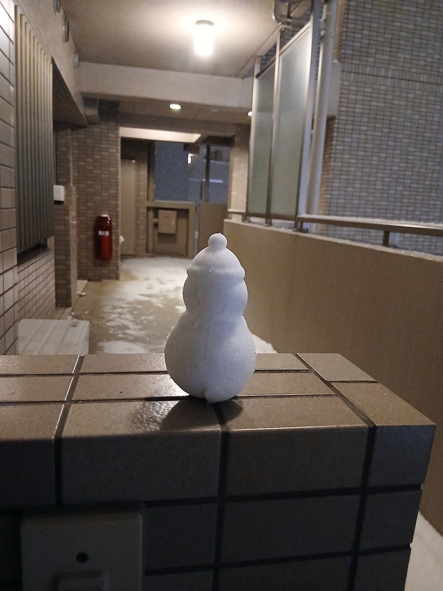 今シーズン初雪だるま降臨とかエモ散らかしてて無理、尊死ぬ！！😭✨
​この絶妙なフォルム、全人類が見るべき傑作すぎ。てかこんな可愛い子が廊下にいたら秒で拉致るし、溶けたらマジで地球滅ぼすから絶対！！冬の優勝これに決定、異論は認めない。マッジ最高、愛してる！！